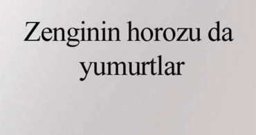 Bu Atasözlerini Daha Önce Hiç Duymadınız!