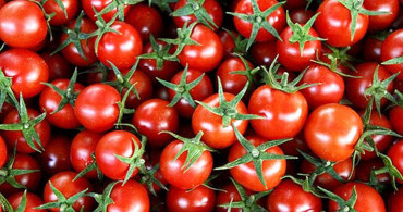 Domates Yemenin Tehlikeli Olduğu 6 Sağlık Durumu