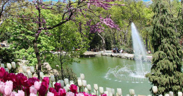 İstanbul'da En İyi Oksijen Alma Alanları