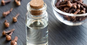 Karanfil Yağının Faydaları Nelerdir?