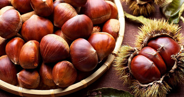 Kestane Diyabeti Önlüyor! İşte Yararları