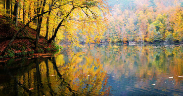 Sonbahar Da Bolu'nun Renkleriyle Mest Olun