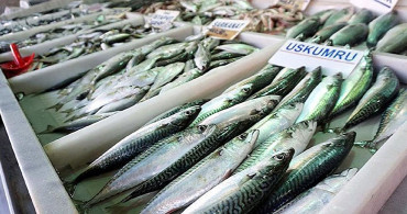 D Vitamini Eksikliğiniz Varsa Bunları Yapın