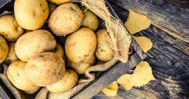 Patates Kabuğu Lif Kaynağı, Sakın Çöpe Atmayın!