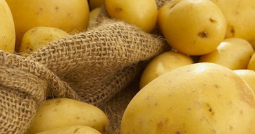 Aman Dikkat! Bu Patates Ölüme Neden Oluyor! 