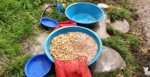 Salep Soğanı Toplayan Şahsa 73 Bin Lira Ceza