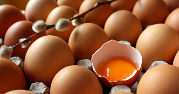 Sağlıklı Bir Tavuktan Çıkan Yumurta Nasıl Anlaşılır?