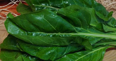 Kanserin İlacı: Pazı ve Yararları