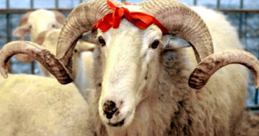 2019 En Güzel Kurban Bayramı Mesajları