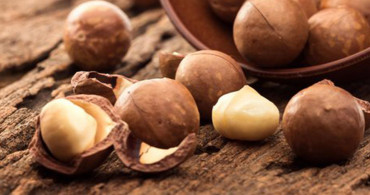 Doğum Sonrası Yaralar Cadı Fındığı Yağı İle Geçiyor!