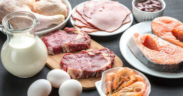 Yüksek Protein İçeren Gıdalar