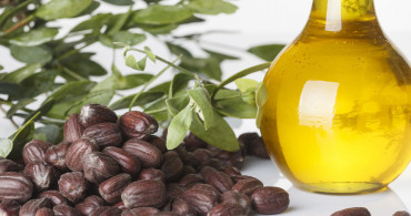 jojoba Yağının Cilde Faydaları