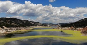 Denizli'de Baraj Göleti Üzerinde Oluşan Yeşil Tedirgin Etti