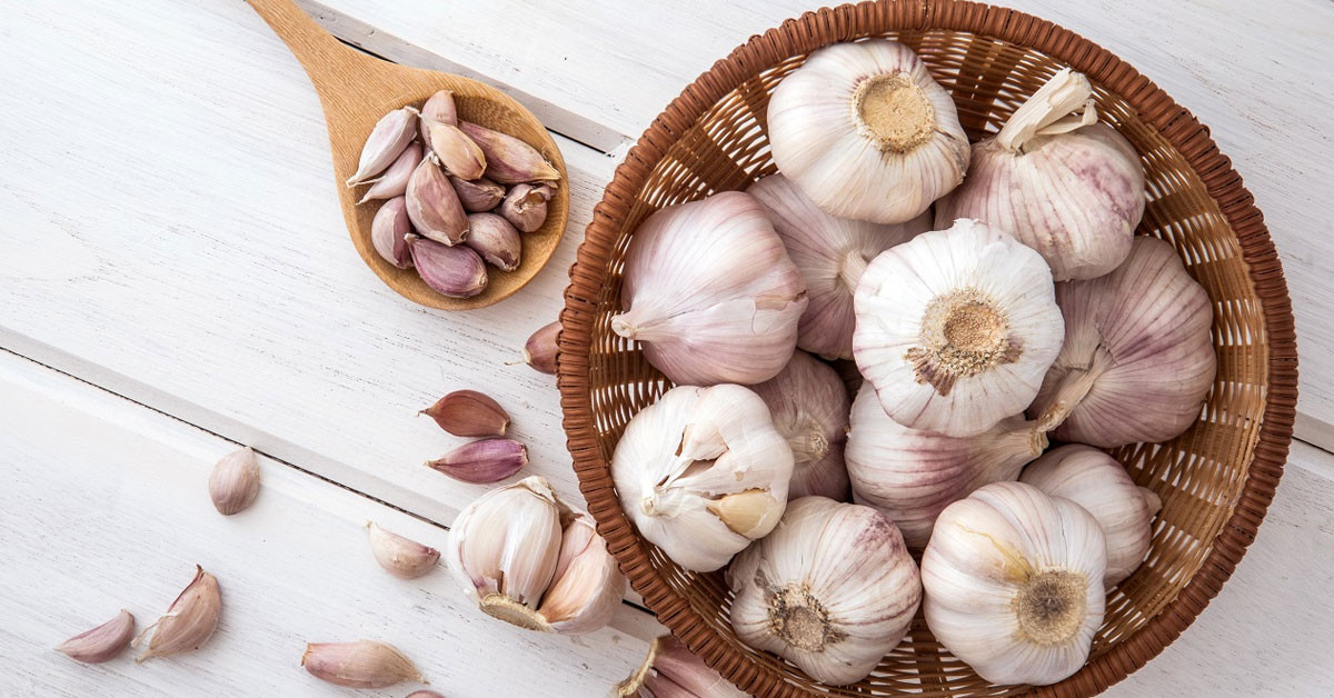 Damar tıkanıklığına geçit vermiyor!