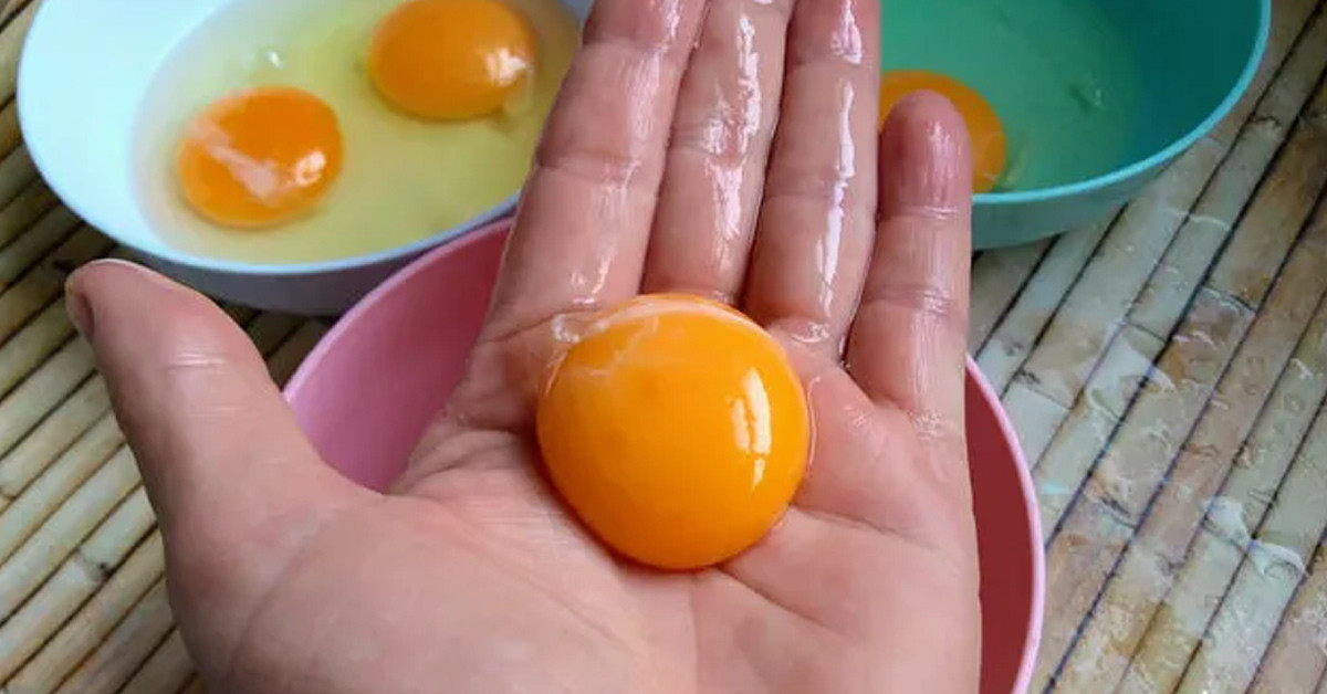 Yumurta sarısı tekniği