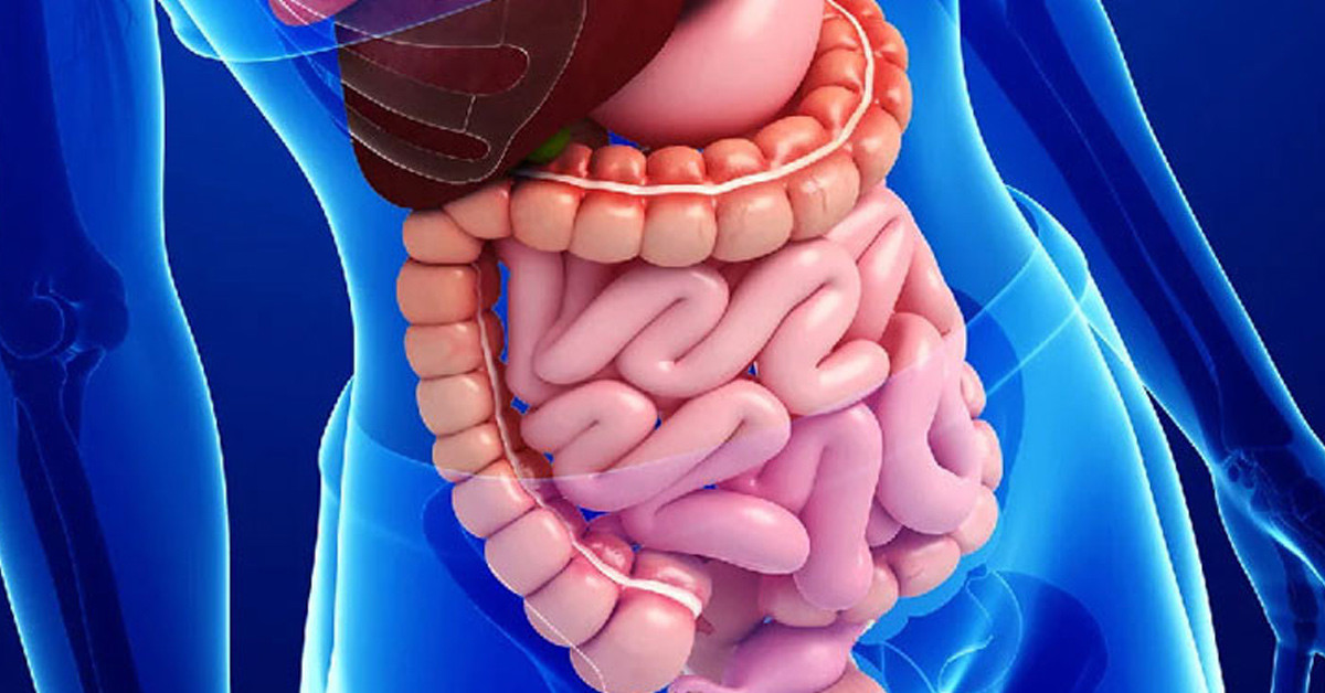 Dışkı Renginin Değişmesi