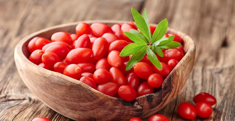 ENFEKSİYON İLE SAVAŞIR