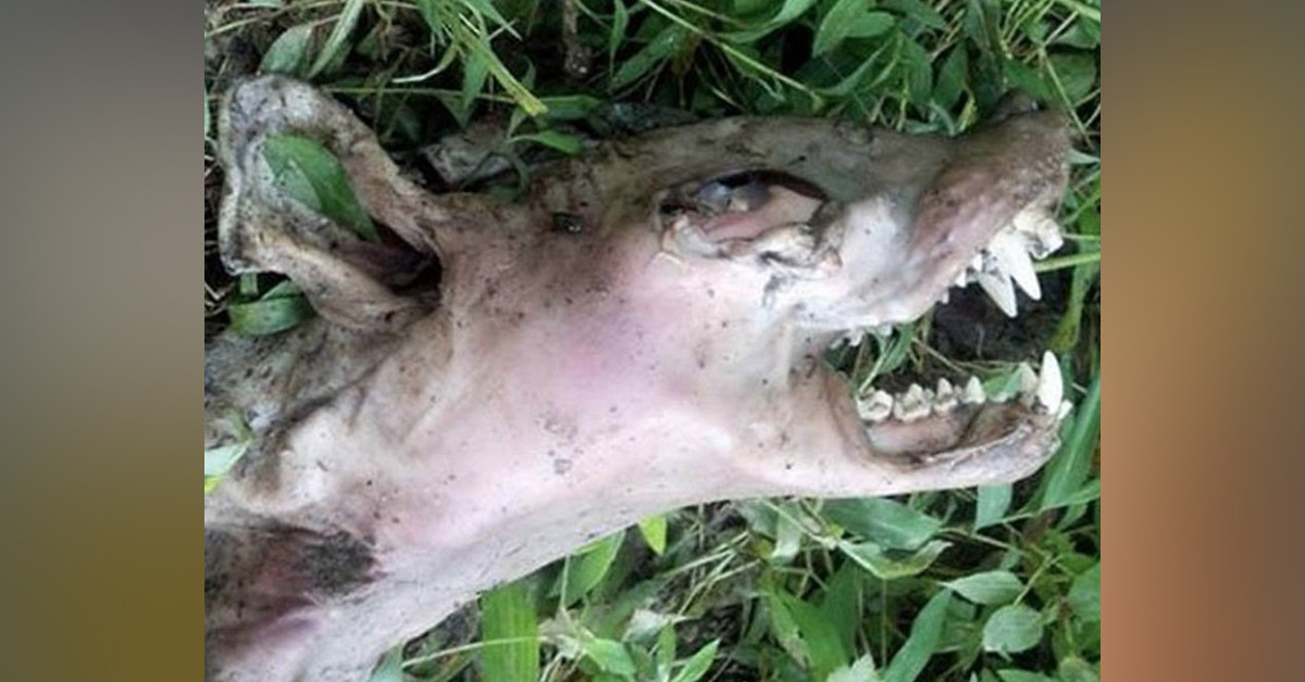 Metallerin geri kazanılması