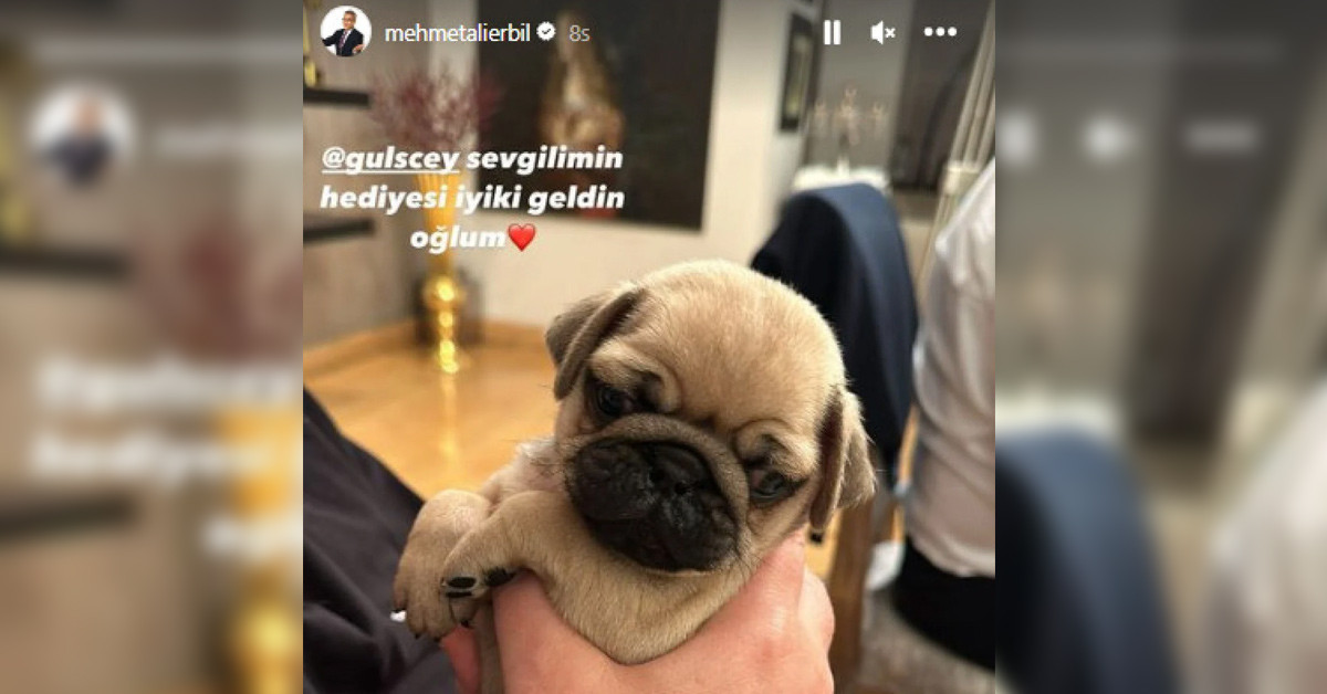 Gülseren Ceylan, sevgilisine bir köpek aldı