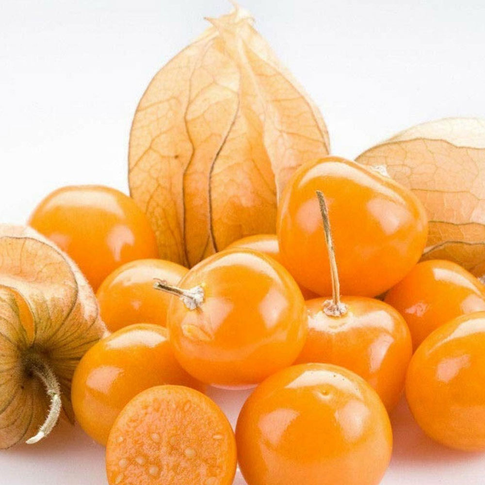 SAĞLIK AÇISINDAN FAYDALARI