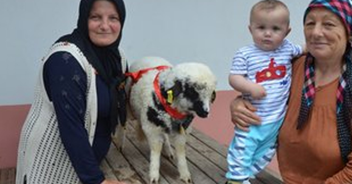 Mutluluktan gözyaşlarına boğuldu 