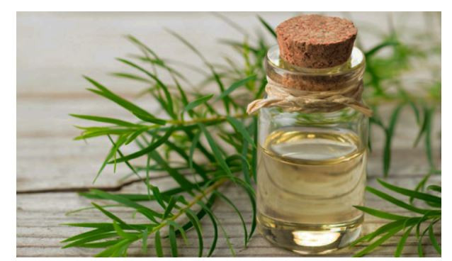 Çay Ağacı Yağı ile Masaj