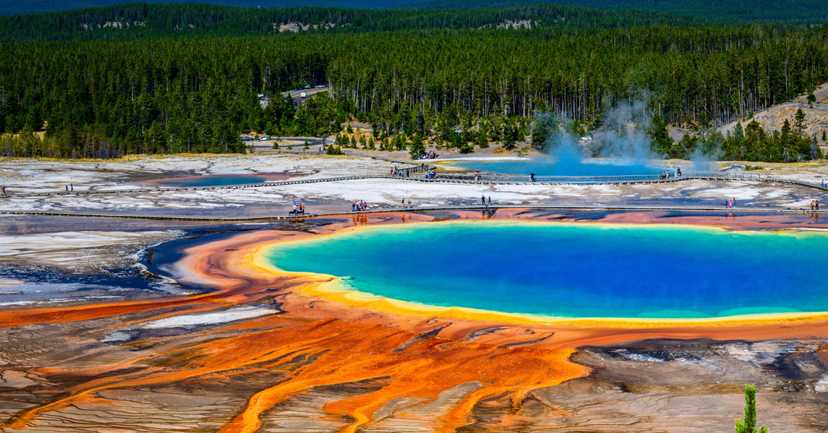 2- AMERİKA BİRLEŞİK DEVLETLERİ