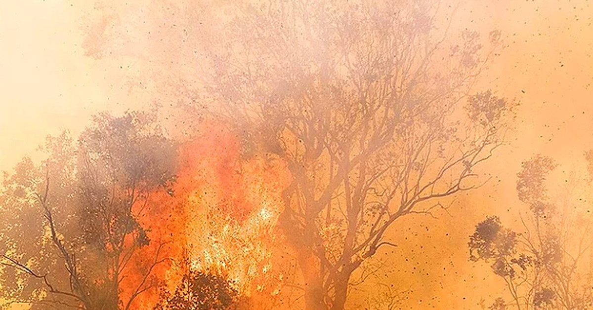 1950 CHİNCHAGA YANGINI