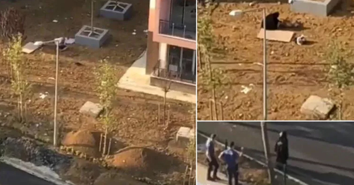 Elektriği almak istemiş