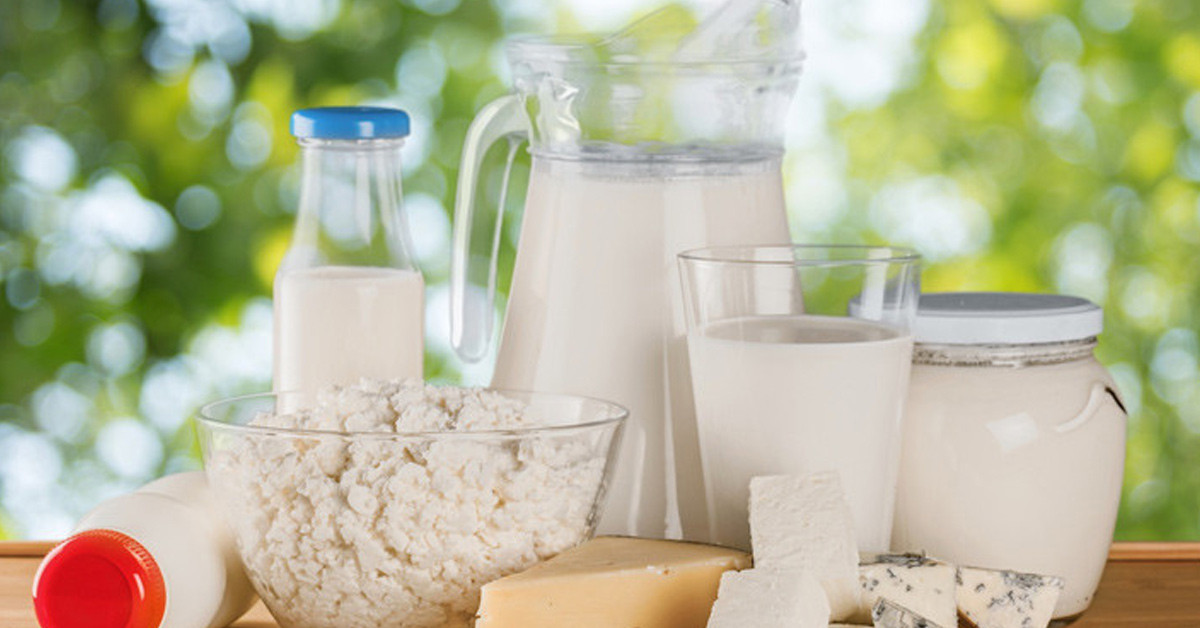 Süt ve Süt Ürünleri