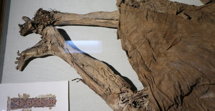 14 Asırdır Bozulmayan Ceset Karaman Müzesi'nde Sergileniyor