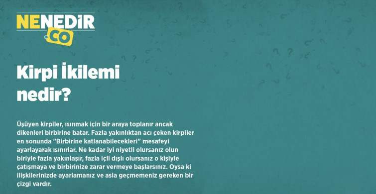 Kirpi İkilemi nedir?