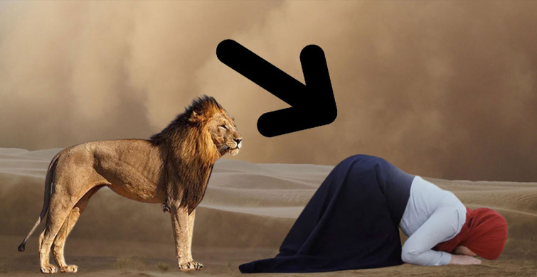 Aslan namaz kılan kadına bakın ne yapıyor?
