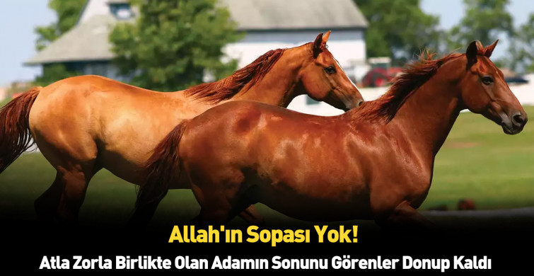 At çiftliğinde pes dedirten bir olay yaşandı