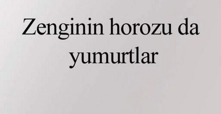 Bu Atasözlerini Daha Önce Hiç Duymadınız!