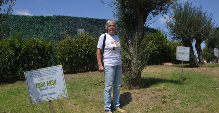Avcılar'da Öldürülen Kadınların Anısını Dikilen Zeytin Ağaçlarının Tabelaları Çalındı