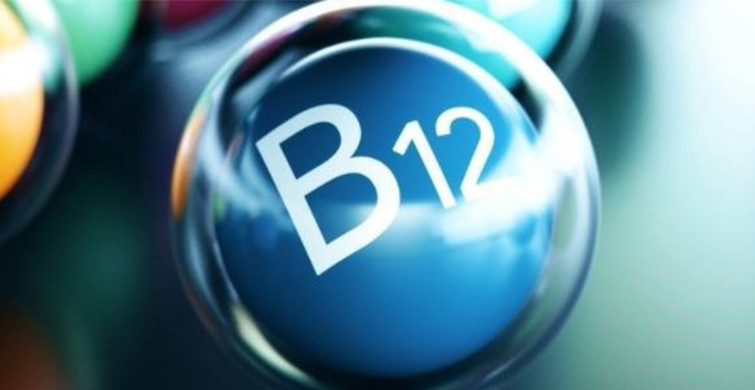 B12 Vitamini İçeren Besinler