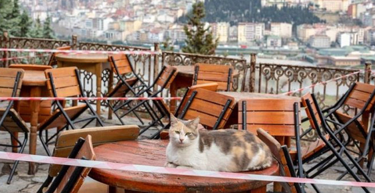 Bayram Sonrası Açılma Sürecinde Neler Olacak?