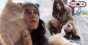 Cansu Dere, Hayvanseverlerin Gönlünü Fethetti 