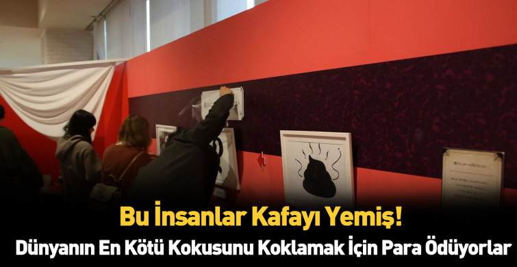 Dünyanın en kötü kokuları için para ödediler!