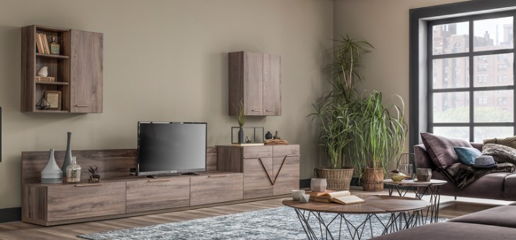 Modern Ve Şık Tv Ünite Modelleri