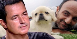 Ersin Korkut'a Yeni Köpek Aldılar