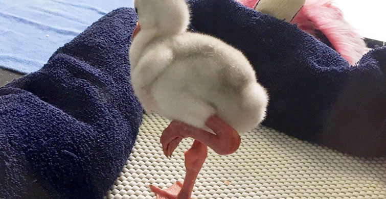 Herkesin En Az Bir Defa Görmesi Gereken 7 Fotoğraf