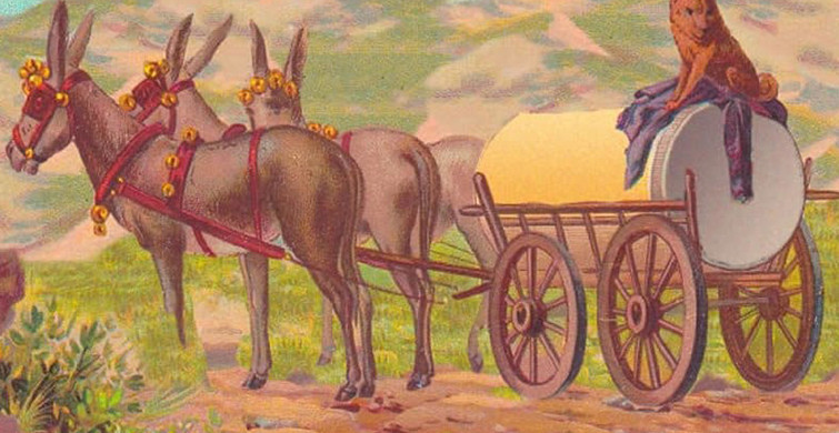 Fotoğraftaki İnsan Yüzünü Görebiliyor musunuz?