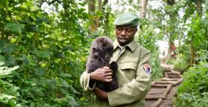 Virunga Belgeseli Film Oluyor
