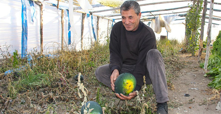 Ninesinin Sandığında Güz Karpuzu Tohumu Bulan Çiftçi Paraya Para Demiyor