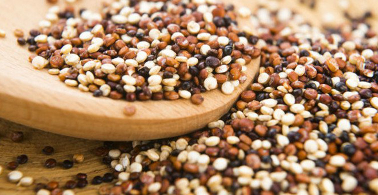 Protein Yönünden Zengin Olan 9 Besin