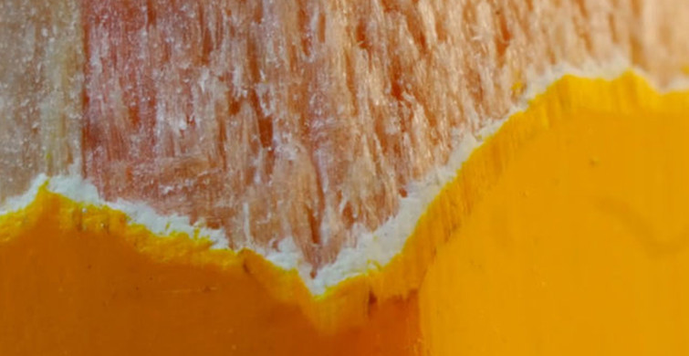 Ne Olduğunu Asla Bilemeyeceğiniz 11 Makro Fotoğraf