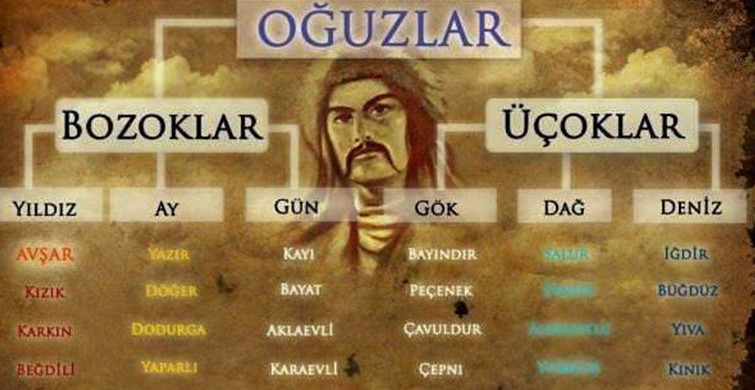 Hangi İl Hangi Boydan Geliyor? 