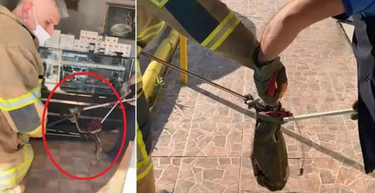 Hava Sıcaklıklarının Artmasıyla Yılan Kapanı Satışları Arttı